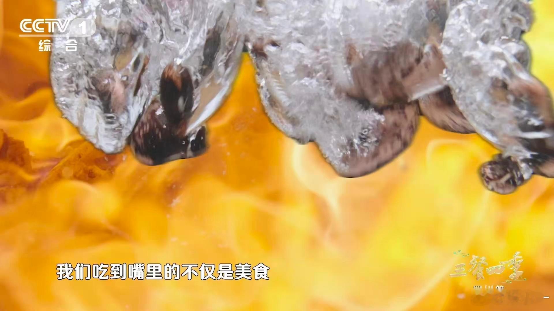 内娱美食综艺有自己的熹妃回宫 内娱美食综艺的熹妃回宫来了！《三餐四季》收视一路狂