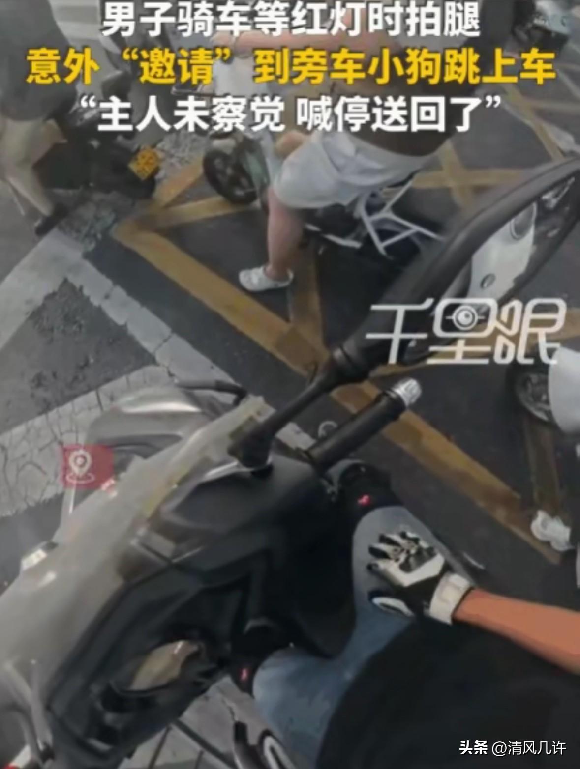 拍腿就是暗号！河南，一男子骑车等红灯，因天气炎热，他下意识地拍了拍大腿。没曾想，