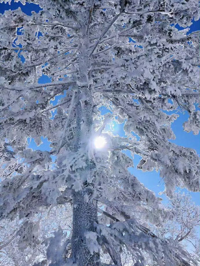 吉林的冬季犹如美轮美奂的冰雪世界！ ​ ​​​