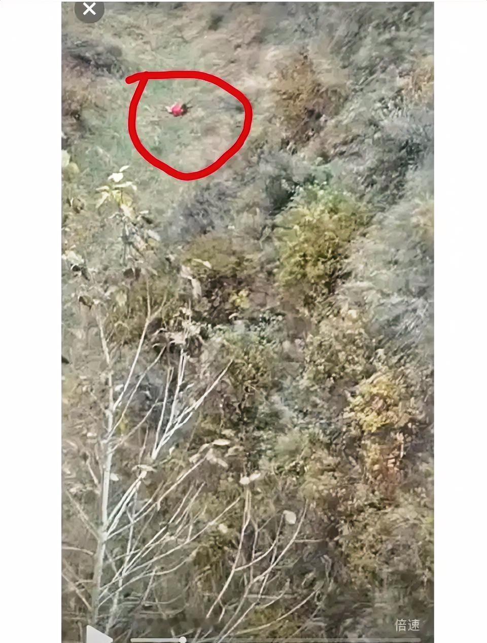 当搜索队不再只盯着草地翻找的时候，
我就知道希望还在，
不止是夜雨寒凉难坚持，而