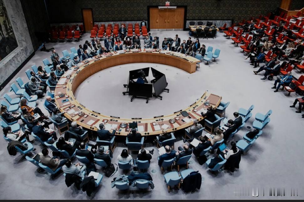 乌克兰常驻联合国副代表帕夫利琴科在安理会紧急会议上呼吁立即通过无条件停火决议。但