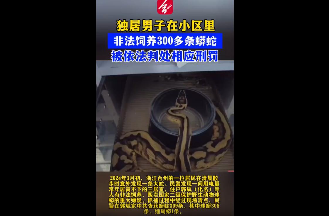 2024年3月，浙江台州警方根据市民发现逃逸蟒蛇的线索，侦破一起特大非法繁育售卖