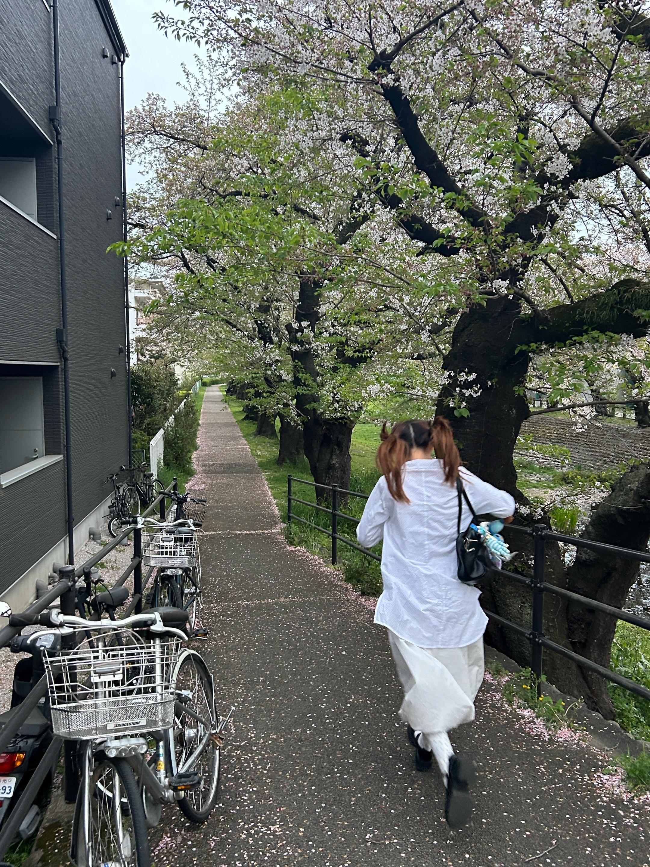 東京の春☘️