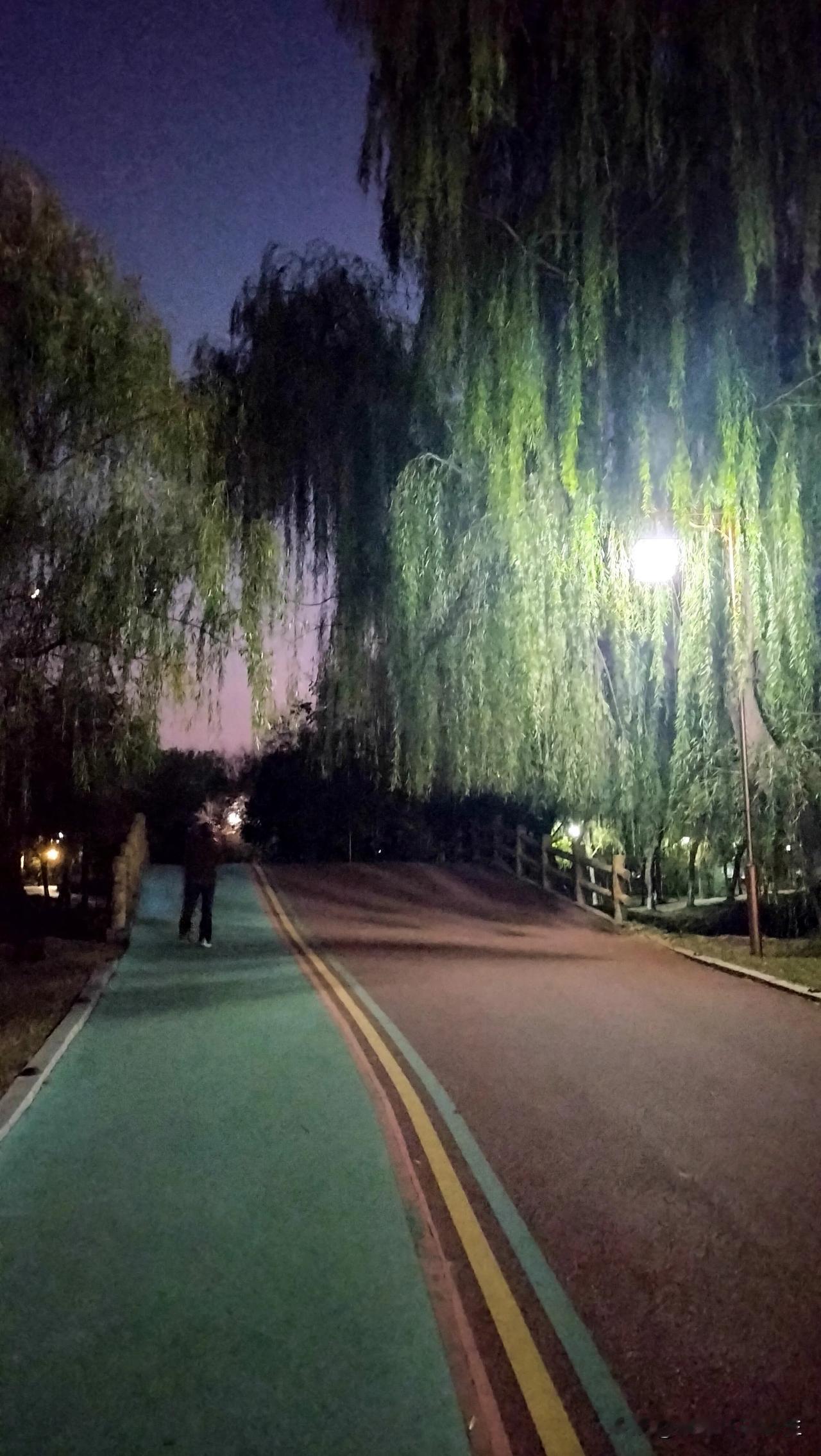 #分享一张最近随手拍的照片#

分享几张夜景吧！

静谧悠然，带着些许的神秘感和