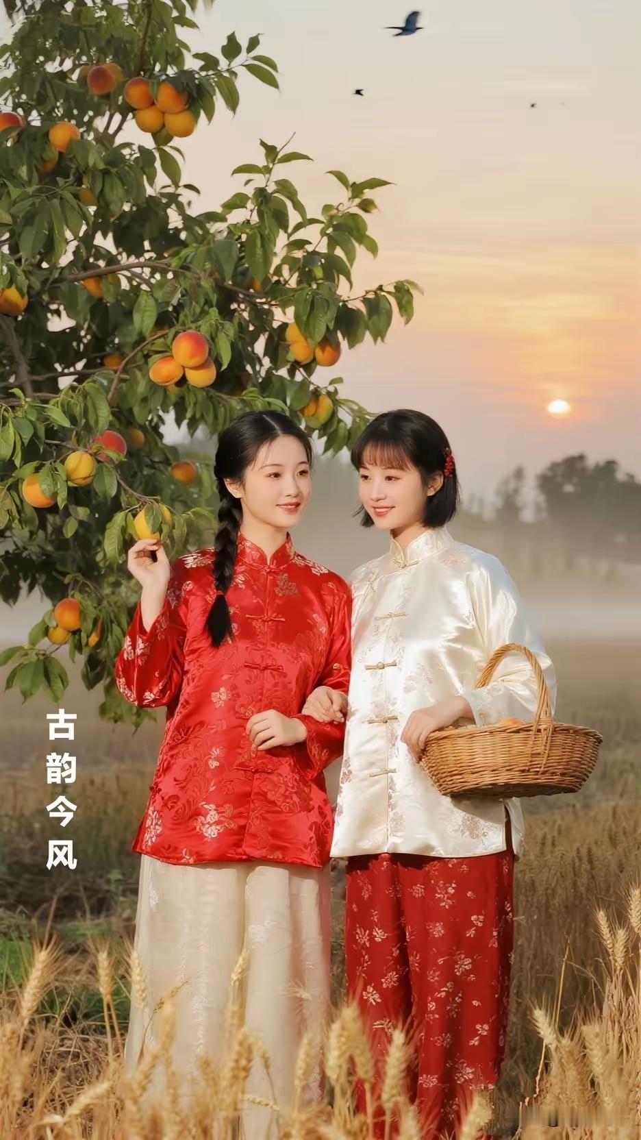 西山落残阳，
山中杏儿黄。
姐妹来采摘，
谈笑心不忙。