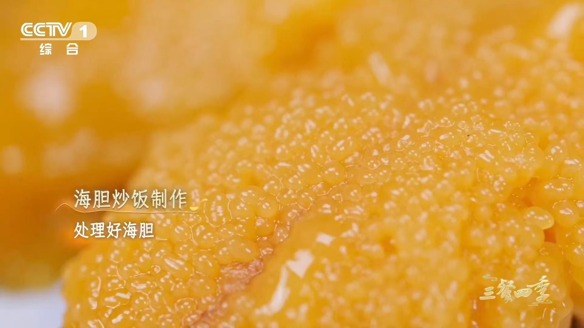 三餐四季广东 海陆丰的滋味，在汕尾的渔港醒来；客家人的智慧，在梅州的灶台守候。三