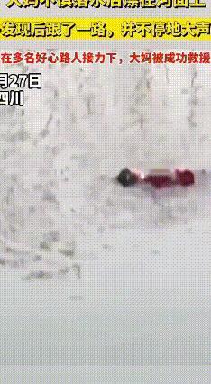 不会游泳也能救人！河岸百米“追喊救援”太感人了
 12月27日早8点半，一位阿姨