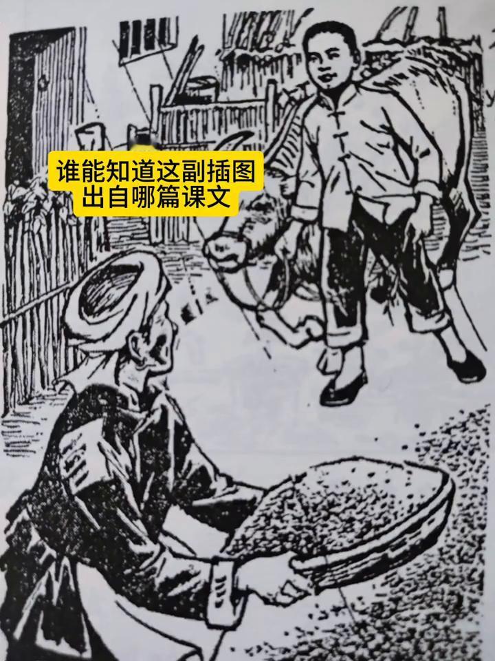 谁能知道这副插图出自哪篇课文？