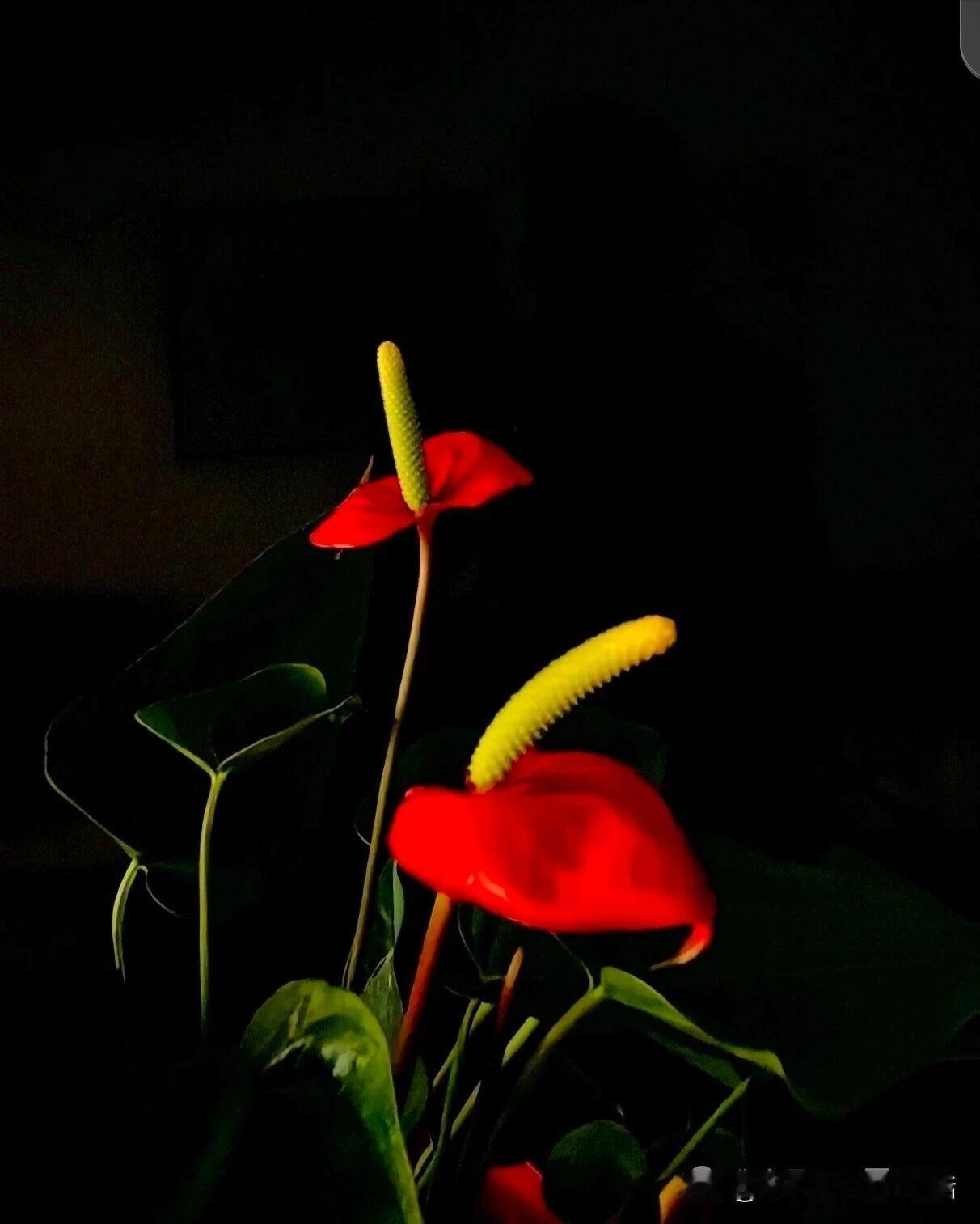 灵宝函谷关是三门峡盆地的核心地带。在豫灵1号井钻探出石油的具体位置，是古代函谷关