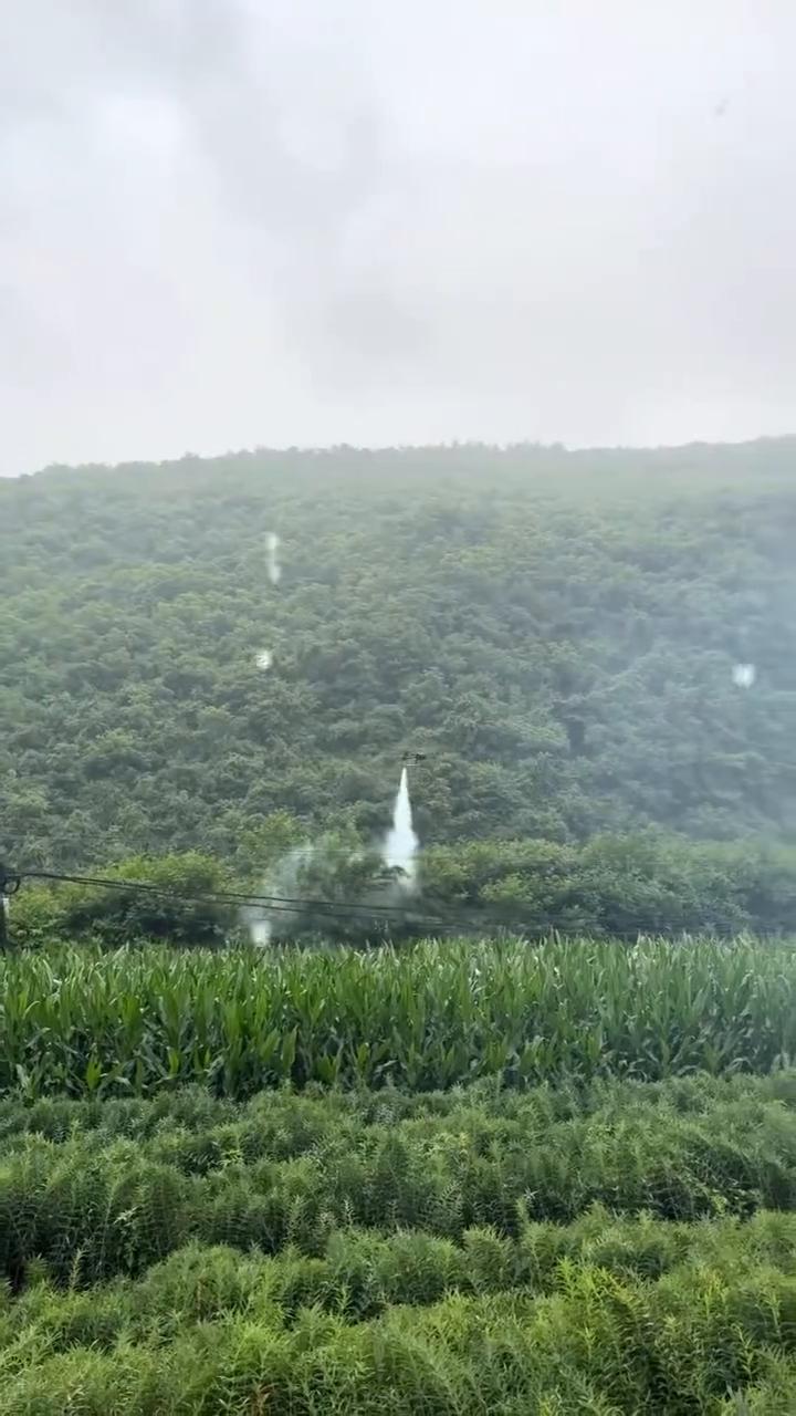 没想到。