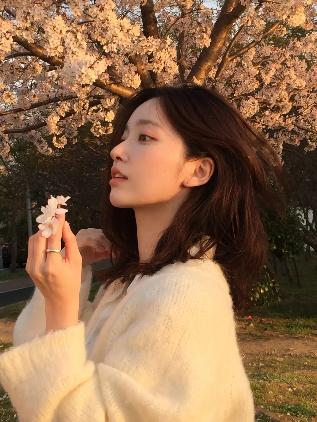 ins博主｜被樱花治愈的瞬间🌸~