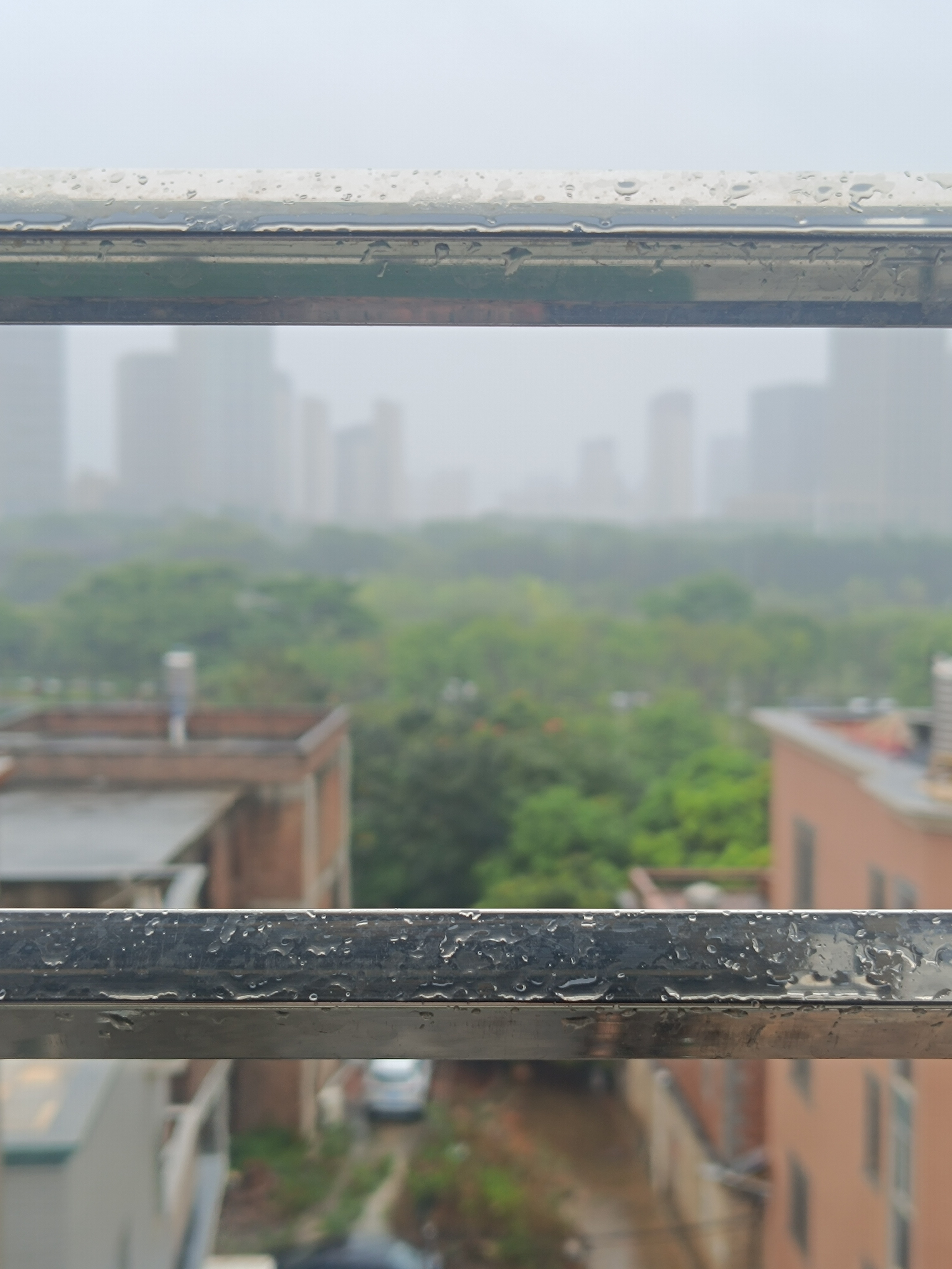 外面白茫茫一片雨。妈发来消息，说谁的儿子去世她要去随礼金，让我查一下账本，以前我