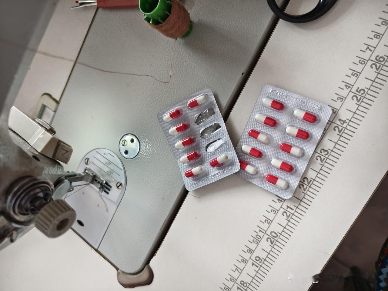 春日生活打卡季 山西偏关猫姐身体状况一直挺好的，吃的饱睡得好，一般有啥小问题都是