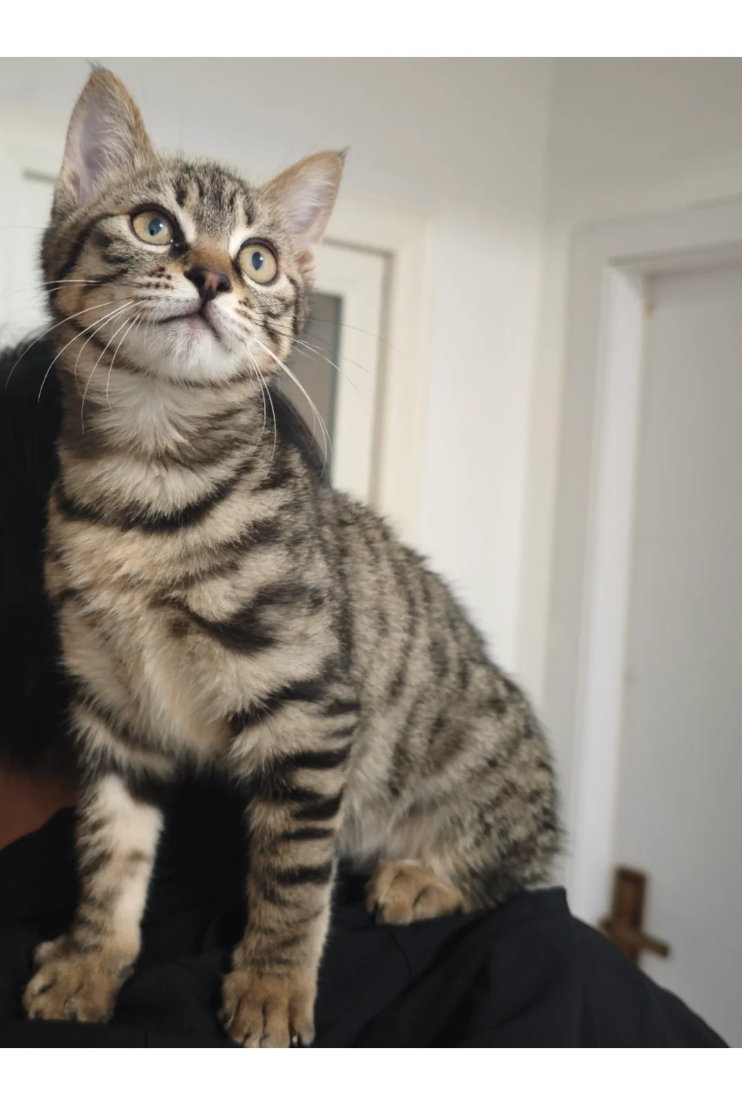 上班嘛，还不就那点事