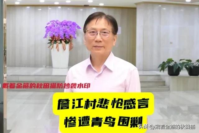 惨遭绿营青鸟围剿！
詹江村悲怆感言：“这可能是最后一次参选，别了老铁们！”真相竟