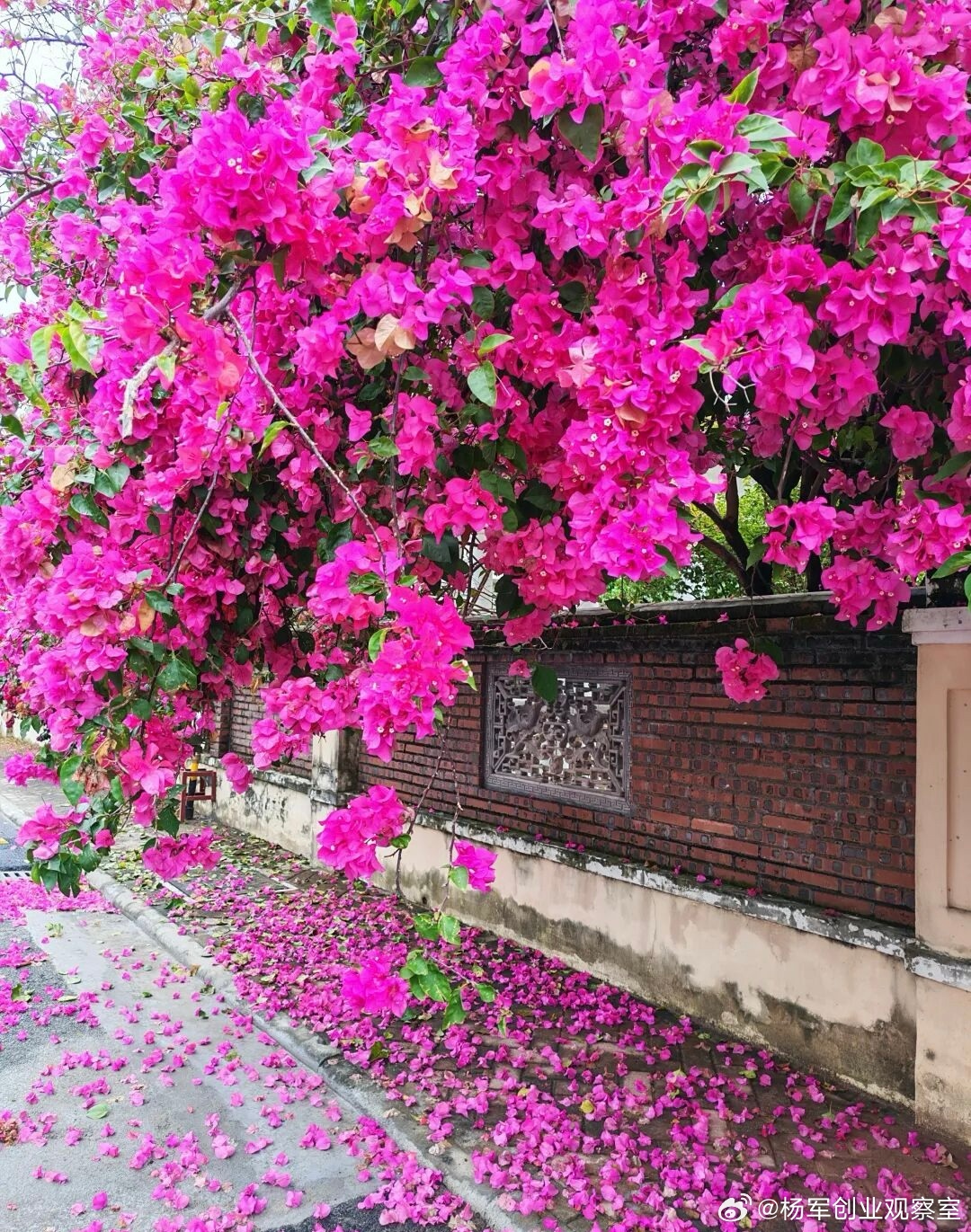 看到股权激励最常犯的9个错误很多老板踩了不止一个。整理出来，大家自查：1.用错模