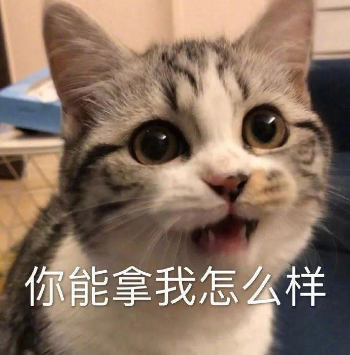 @头条创作训练营
今日份创作训练营作业来啦！
先来说说这个问题，从08年上班到现