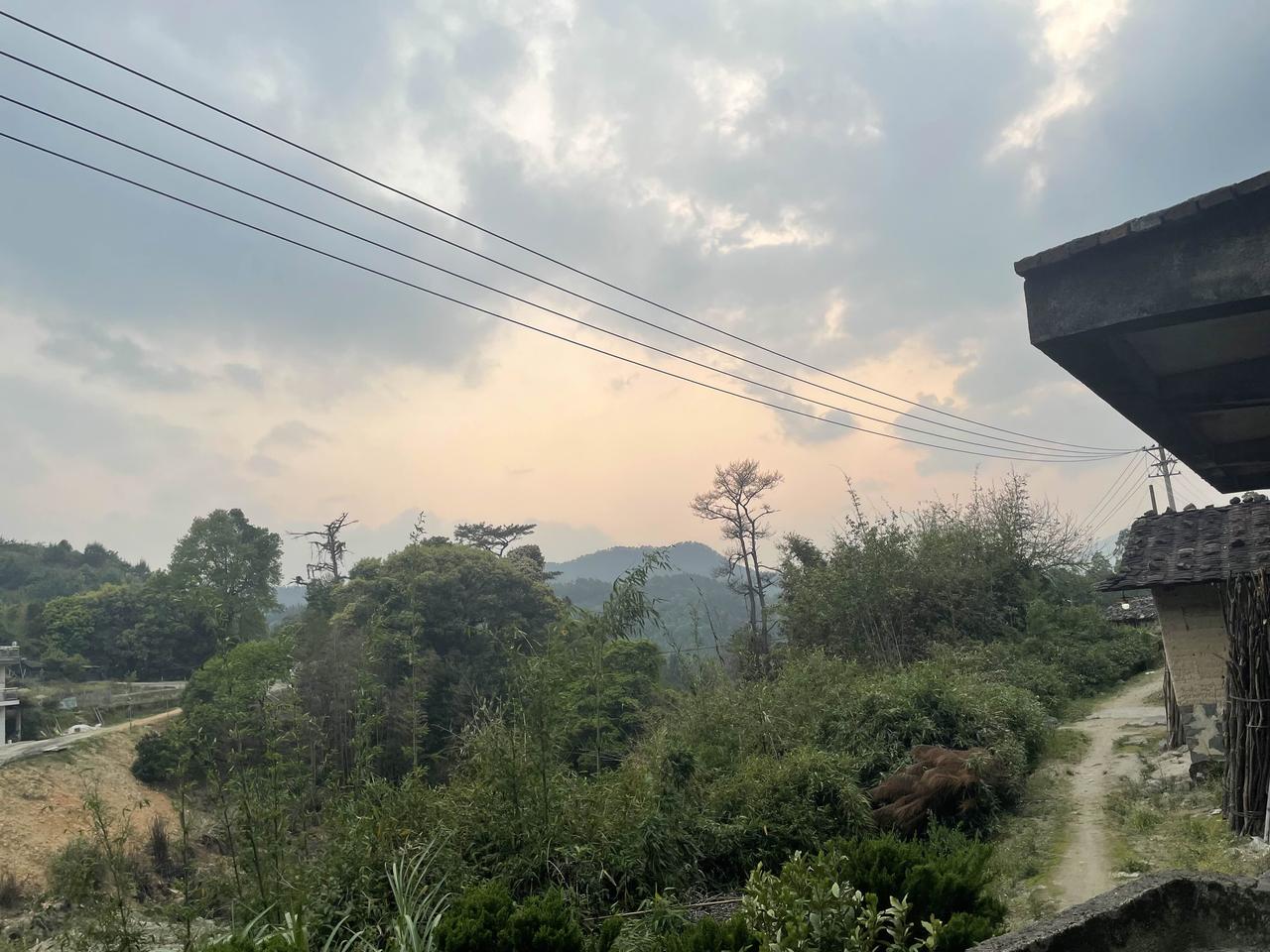 春风拂过枝头，花开满径。闲时漫步郊野，看草木抽芽，听鸟鸣清脆，捧一杯清茶，静享温