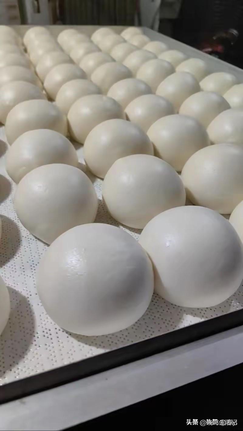 第一次做的馒头，合格吧