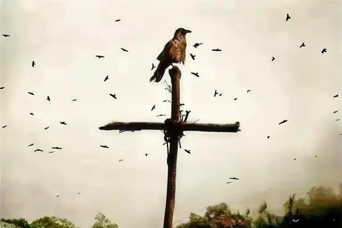 有一位大佬放言：“如果你了解男女之事，了解人生，你就会不正经，也正经不起来。不正