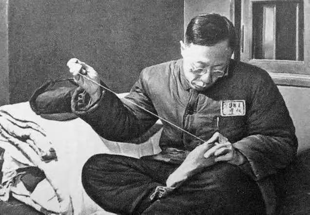 王铎：溥仪的身份证明