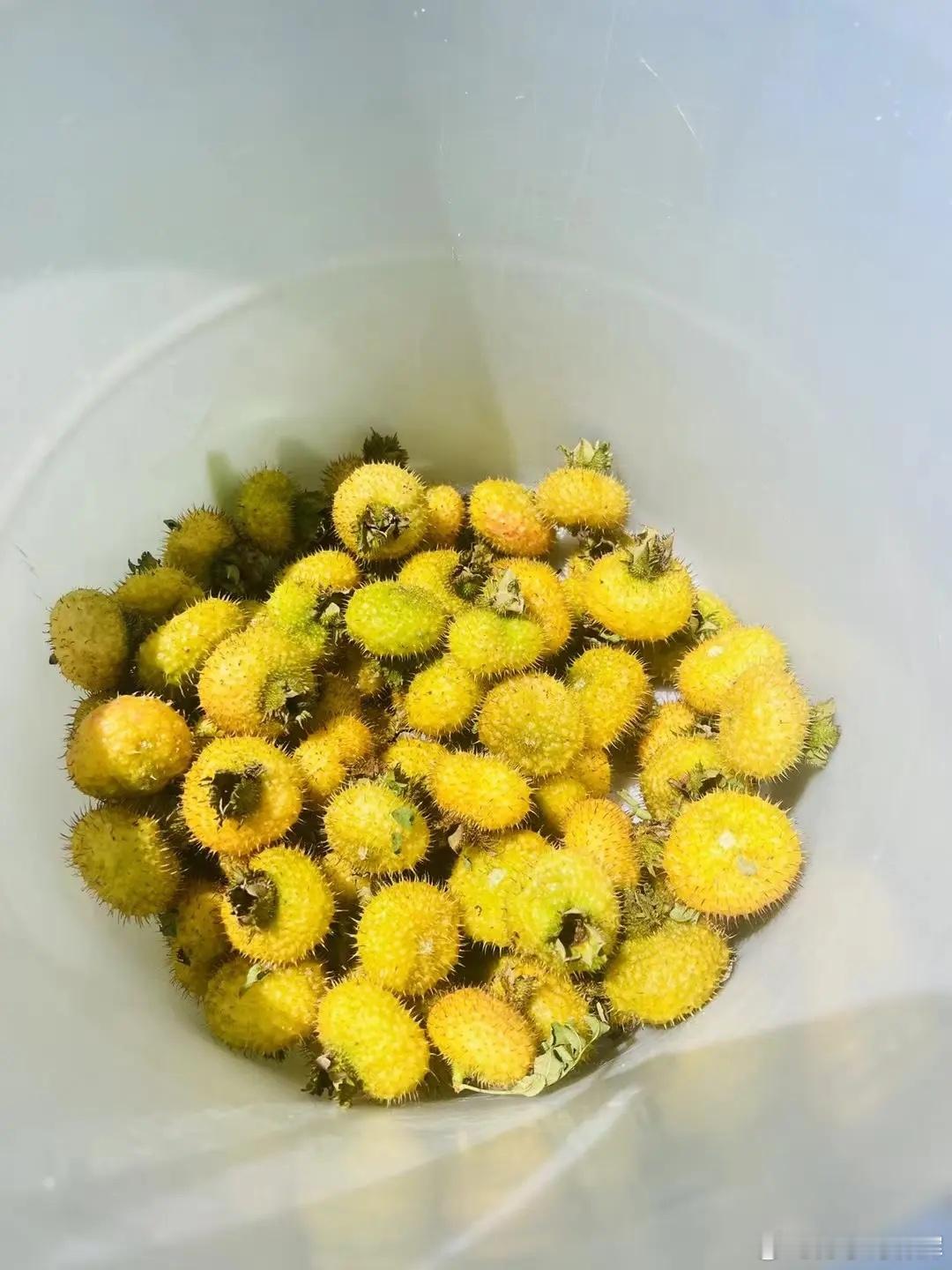 现在的A股来到4000点了，也出了很多段子，比如：不要听老股民的，老股民没有超过