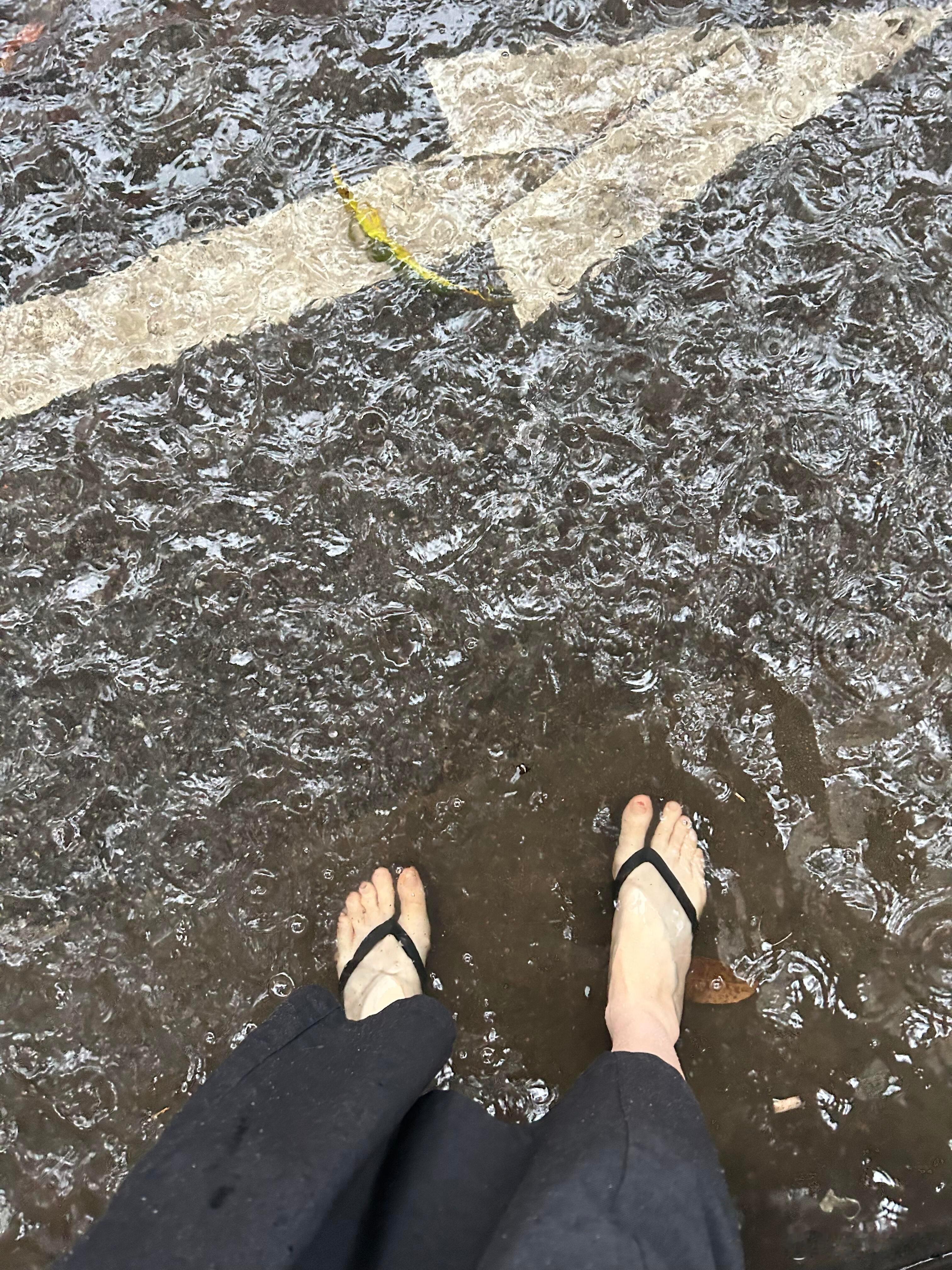 广东开启暴雨模式穿上省拖走水路上班踩了一腿一屁股水抵达工位同事们全部湿掉下半身场