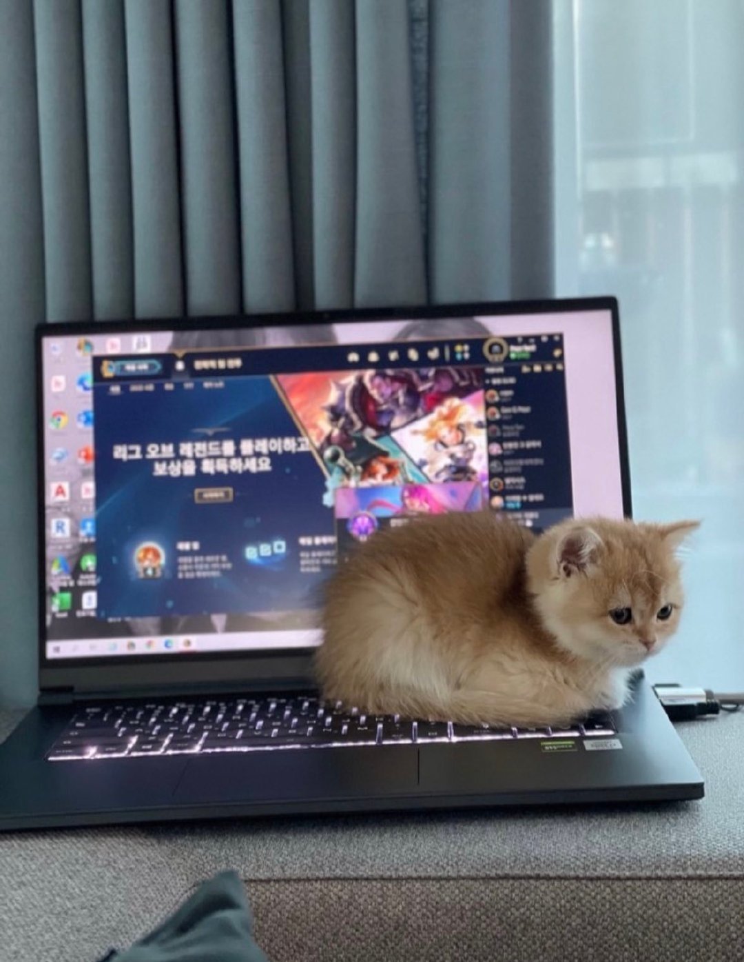 考古两张Peyz家的小猫Yumi[送花花]2025lpl第三赛段2025lplJ