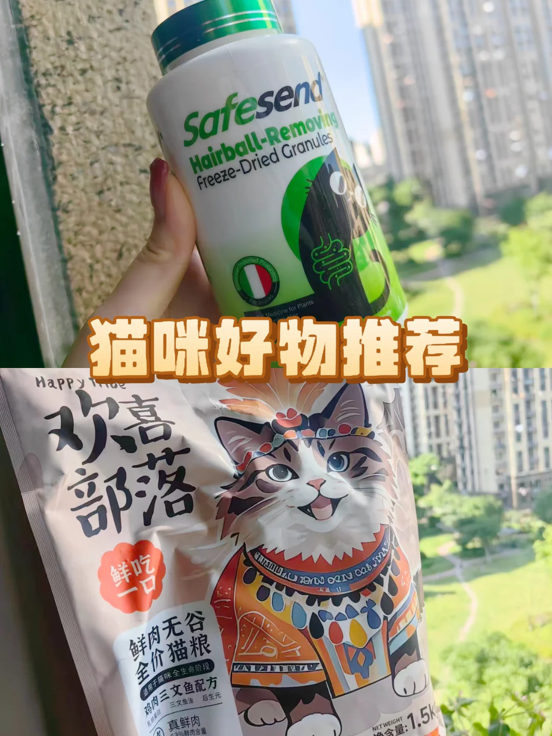 谁家小猫没有好物推荐啊⁉️