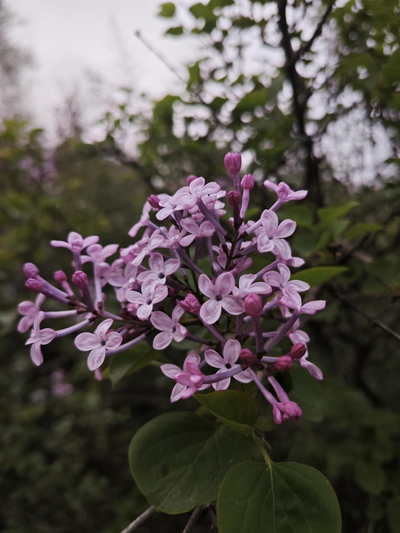 放假了，因为孩子出不了远门的有多少呢？
春天太适合郊游了！
风轻不燥、光柔和煦，