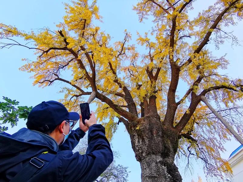 <浣溪沙·冬日村景>
 
淡抹寒空日影微，疏枝瘦树立村陲。
几间朴舍映斜晖。
旧