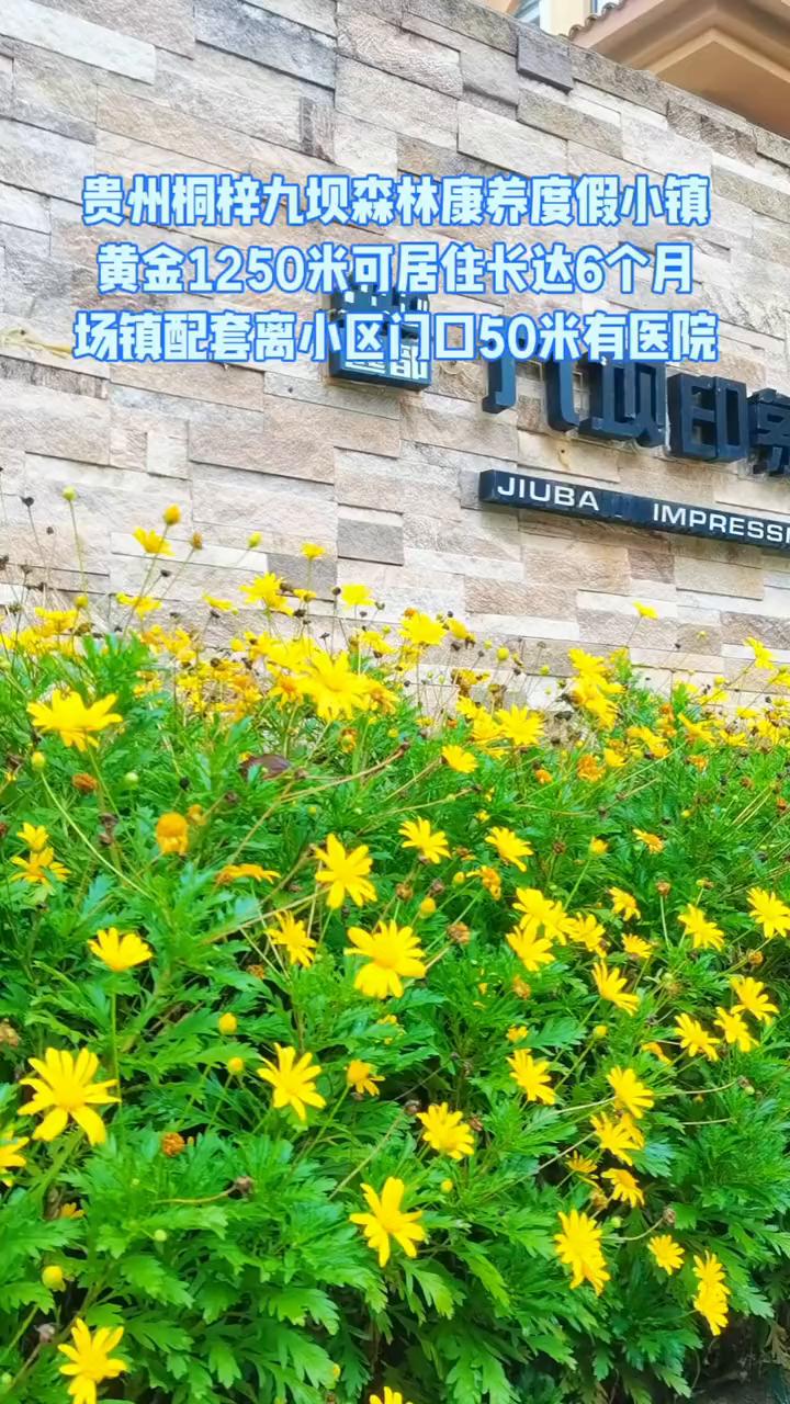 贵州桐梓九坝森林康养度假小镇，黄金1250米，可居住长达6个月。场镇配套离小区门