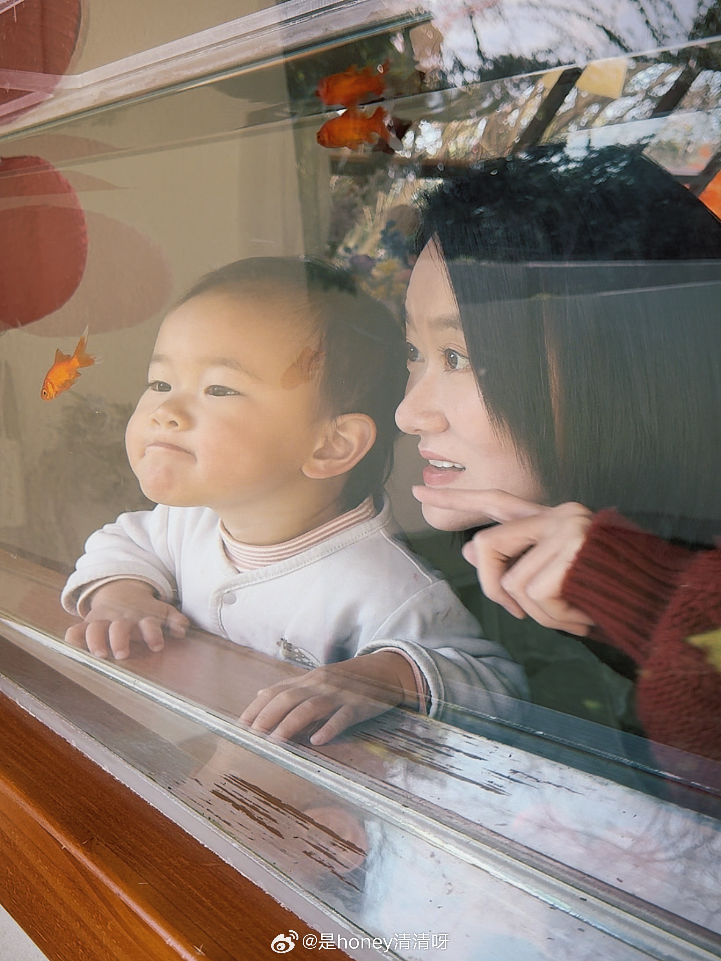 🎬来预制2周后的朋友圈期待成片宝宝成长记录生活的模样儿童摄影 昆明·小玩家儿童