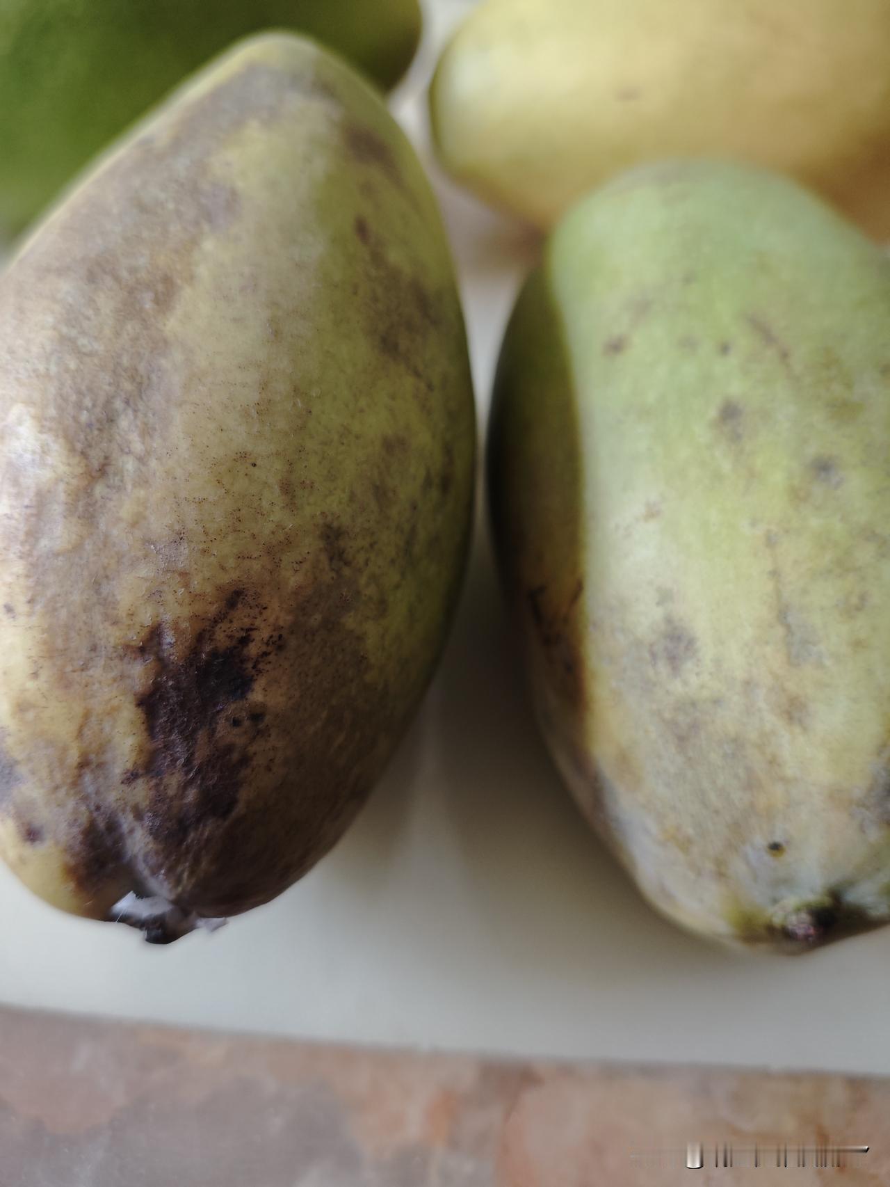 在支付宝上种树，这次的收获大失所望！

这次种的说是3斤的芒果，称了称2斤八两，