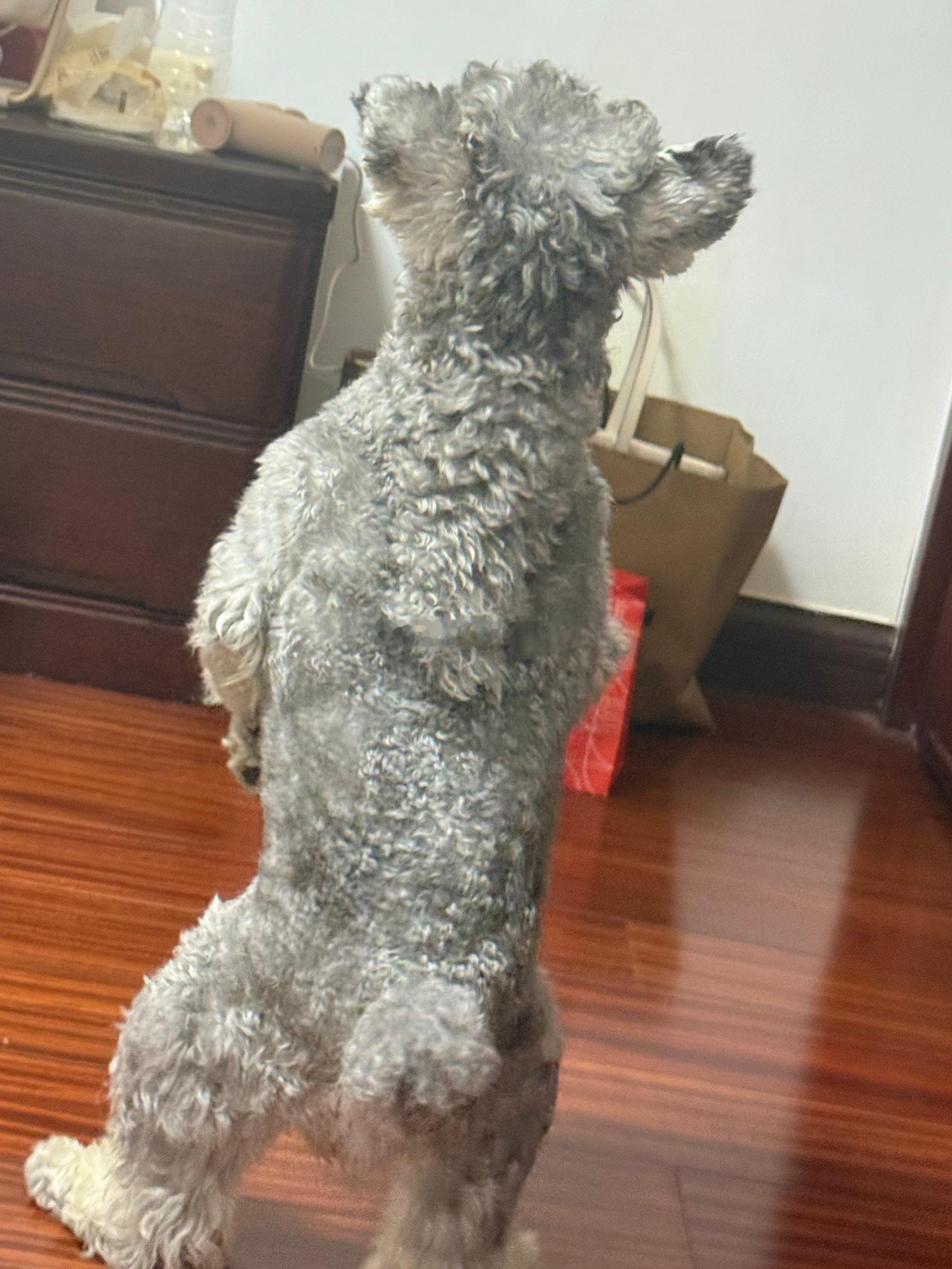这么发展下去我儿总有一天会说话的  ​​​