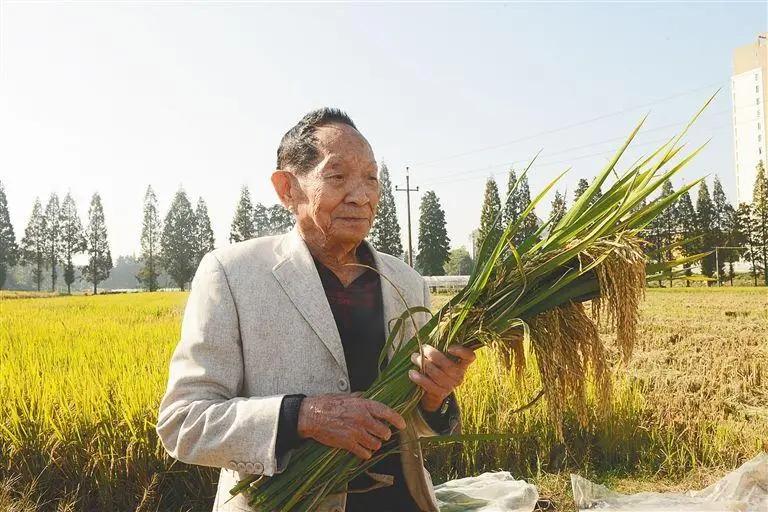 1994年，袁隆平递交申请，请求拨付1000万科研资金，李鹏当即落笔核准，过了1