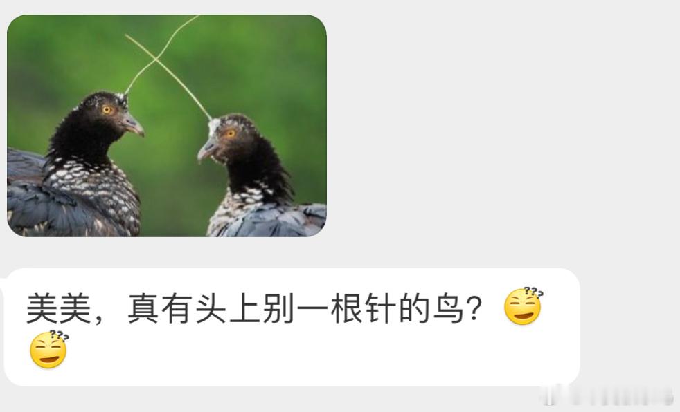 头上长着一根角的【角叫鸭】这个骨质的“角”长在头骨上，并且会一直生长 ​​​