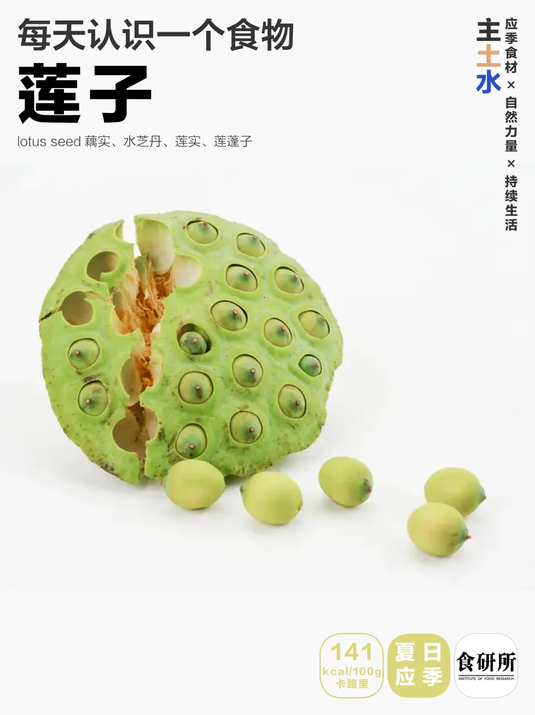 消夏食材 | 莲子