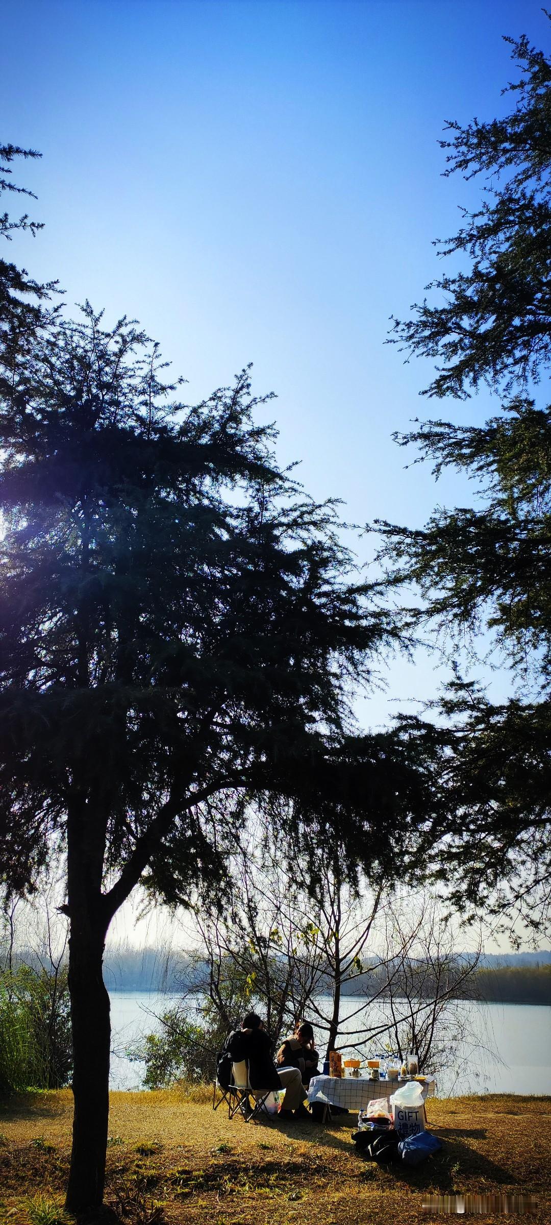 晒图笔记大赛好天气就应该出去好好享受。塔松下，摆一桌水果坚果，泡一壶热茶，听听你