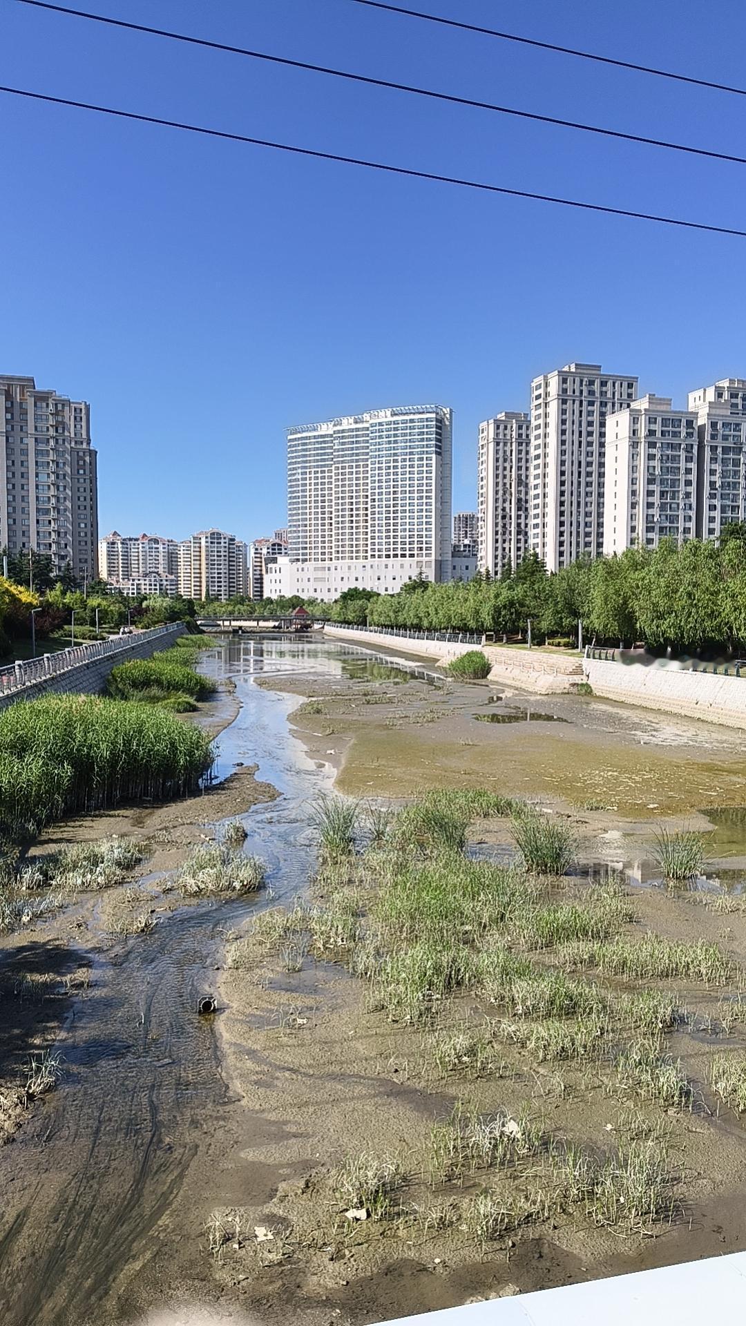 路透社最新消息，印度外交部宣布已与中国开启关系正常化。但说真的，谁想和你正常化呢
