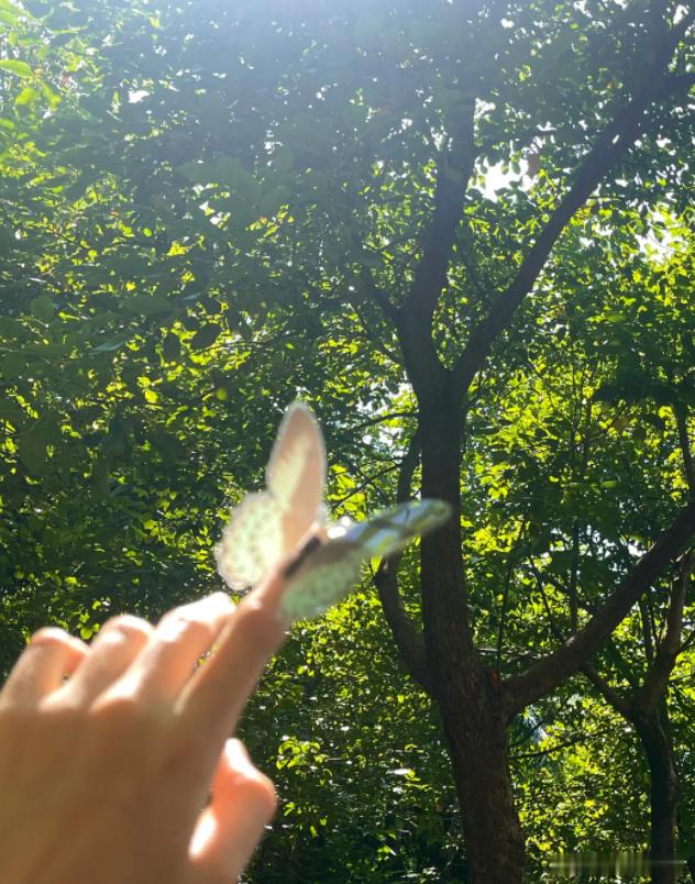 在天气好的时候 我会去收集能量储存下来[开学季]所以天气不好时我也不会很苦恼，因