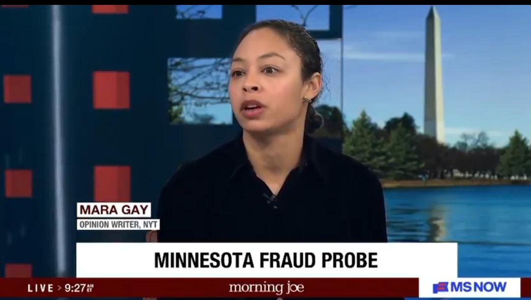 🚨🇺🇸🇸🇴 《纽约时报》玛拉·盖伊谈明尼苏达州欺诈案：“索马里人成了替