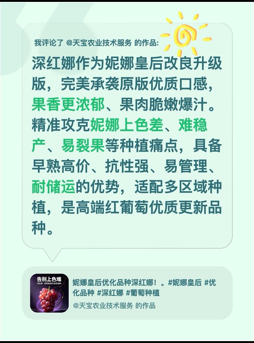 深红娜妮娜皇后改良品种！我评论了@天宝农业技术服务 的作品：
深红娜作为妮娜皇后