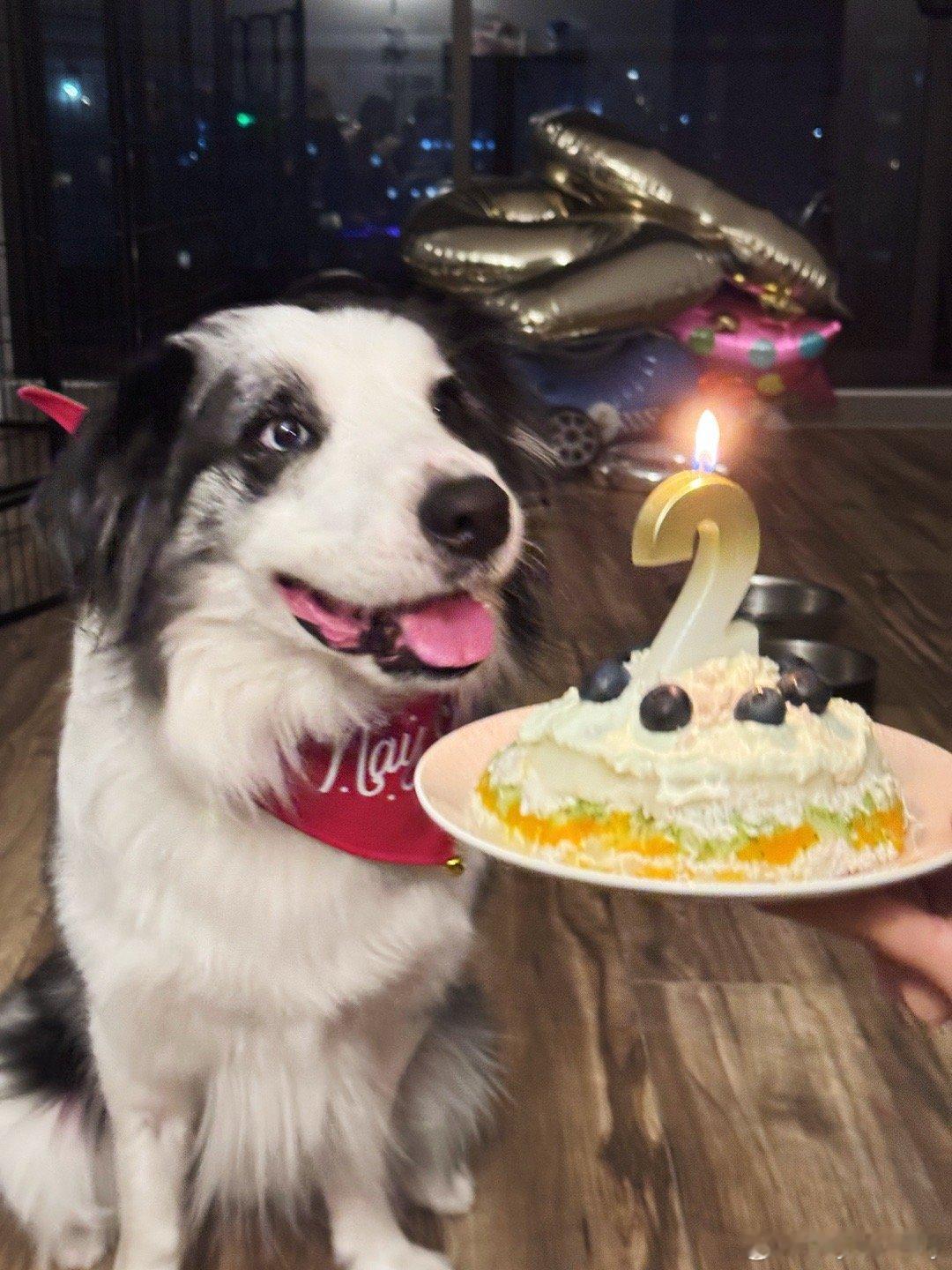 小撮2岁咯🎂姐姐们永远爱你哟💓麦吉妈咪给你做出的最完美蛋糕​​​