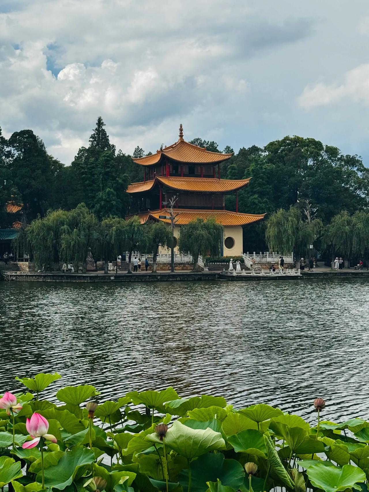 股市是人性的渲泄场，人恐慌了就没有底线，谁还看公司好不好？
做什么的，盈利多少，