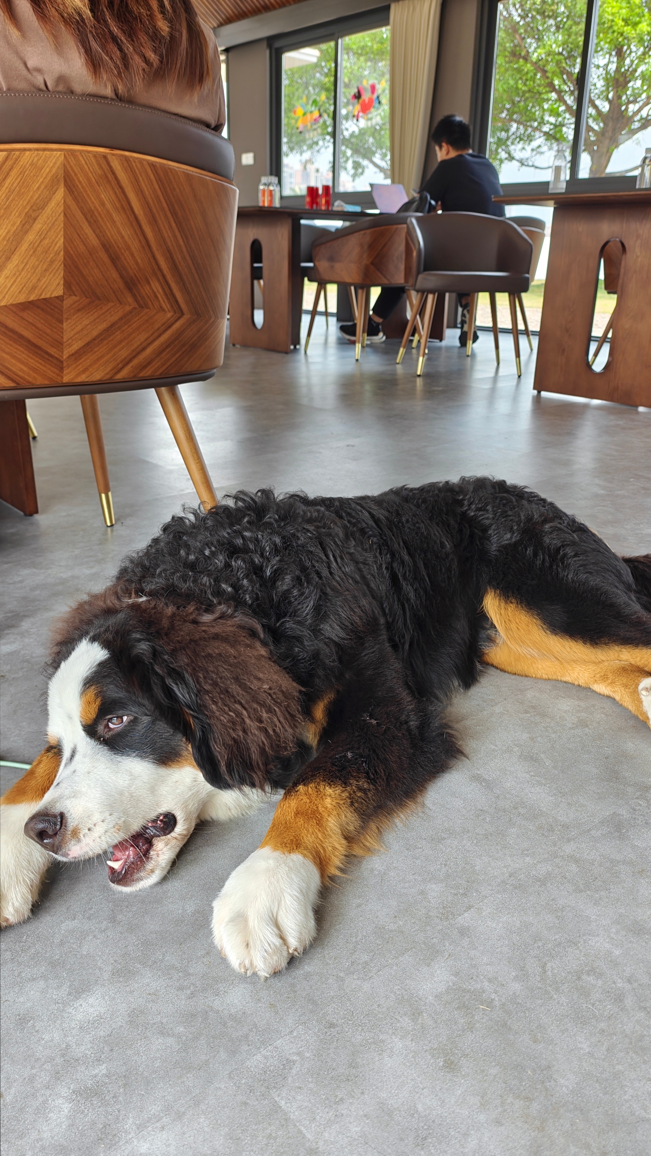 相信我，今天拍完这台车之后，我真的认为我缺一台这样的大五座SUV。尤其是这伯恩山