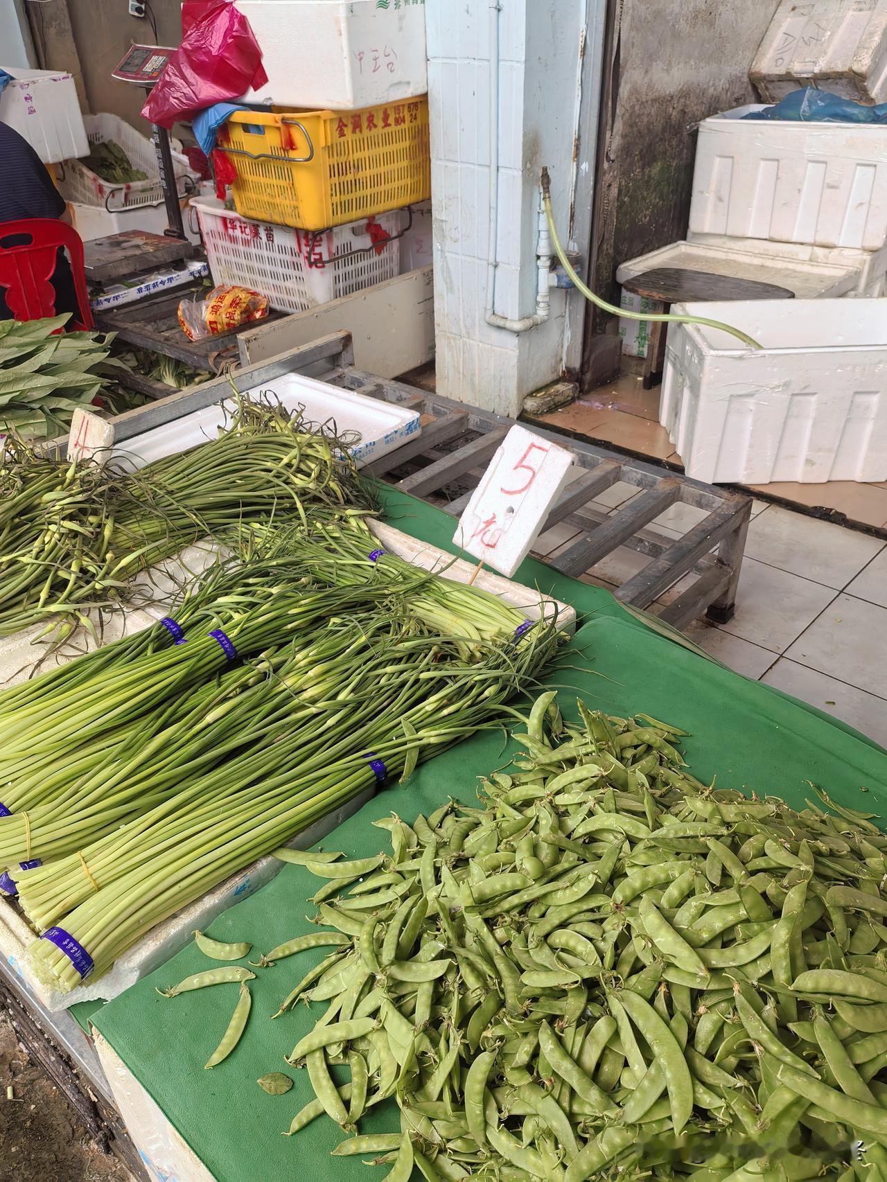 东莞菜市场蒜苔价格4.5~5元一斤。今天在菜市场买了七百克蒜苔，花费7元。听说产