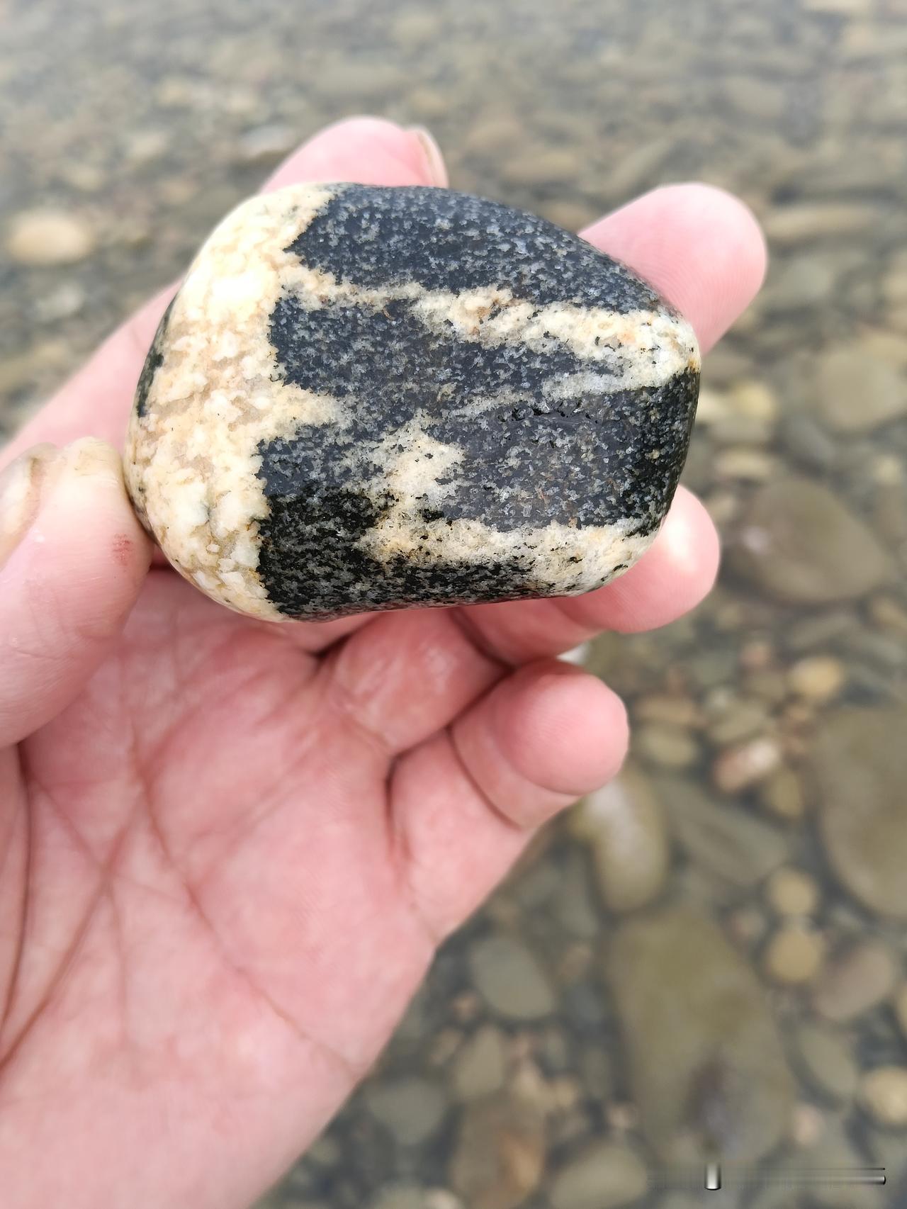 精品奇石
朋友详看是什么动物
评论区说话