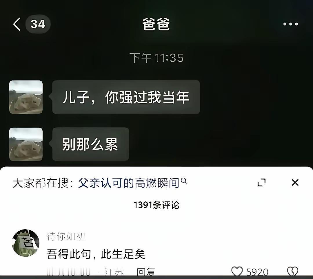 确实，能得到这样的评价足了[狗头]
