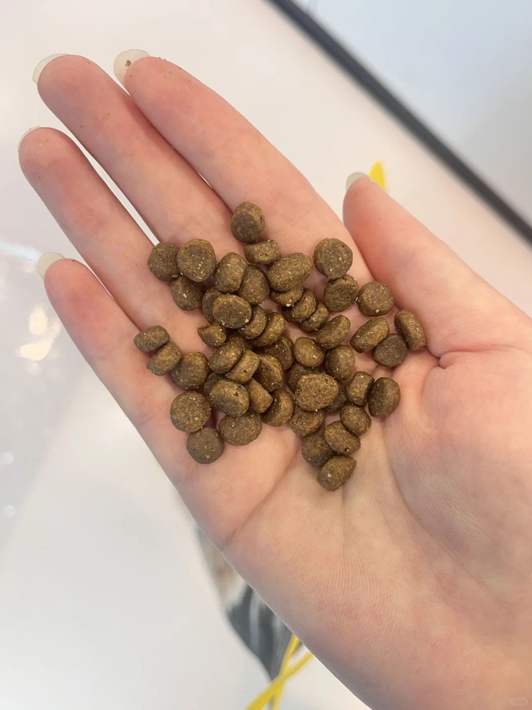 这个双11，心里只装得下纽顿啦💖